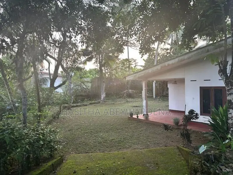 60P Land with A House Sale walking distance to Sri Palee Campus, Horan