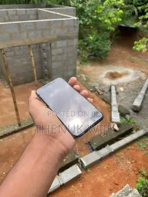 Apple iPhone X (Used)