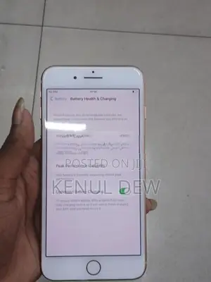 Apple iPhone 8 Plus (Used)