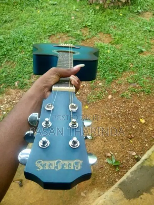 Beegees Guitar