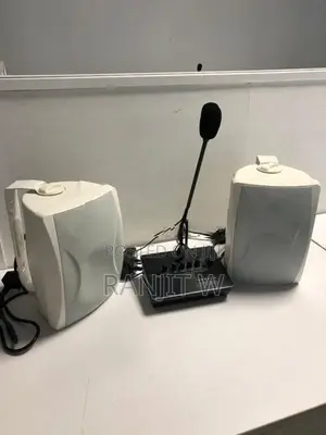 Euroshine Microphone