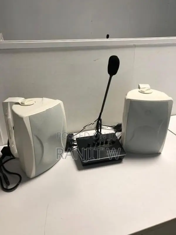 Euroshine Microphone