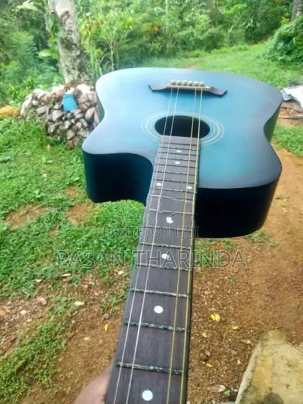 Beegees Guitar