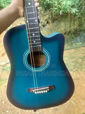 Beegees Guitar