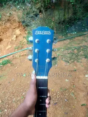 Beegees Guitar
