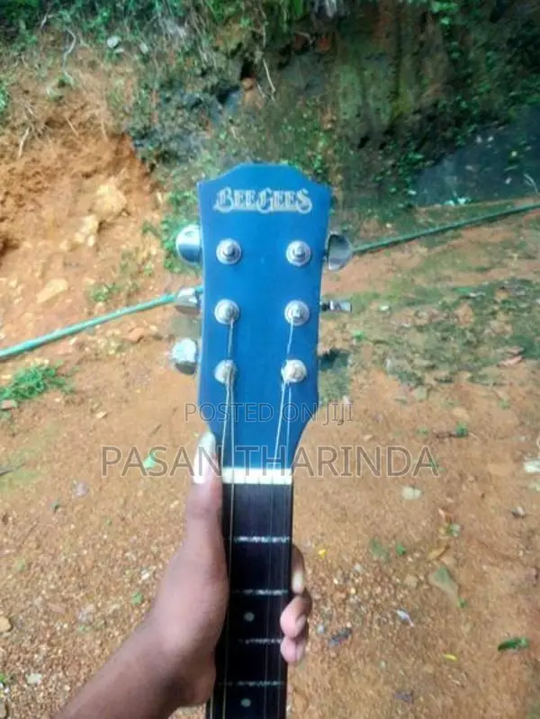 Beegees Guitar