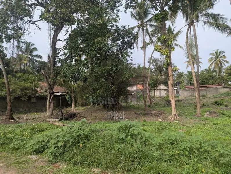 Land for Sale in Divulapitiya