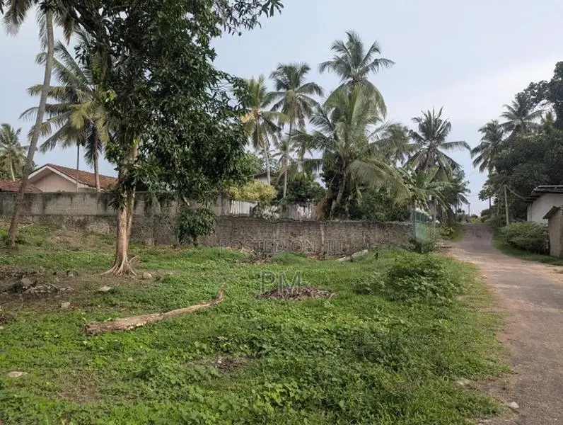 Land for Sale in Divulapitiya