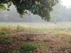 Kaduwela - 441 perches of land with buildings is for sale (SSPL-417)
