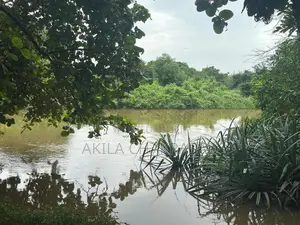 15 Perch River Front Land in Raddolugama
