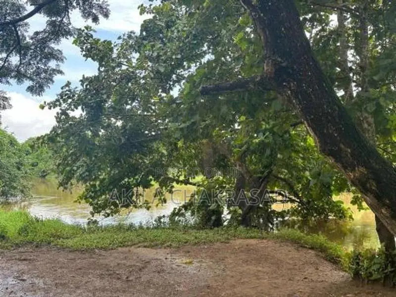 15 Perch River Front Land in Raddolugama