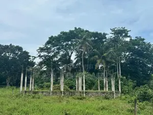 15 Perch River Front Land in Raddolugama