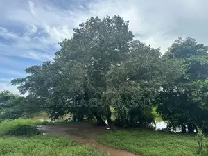 15 Perch River Front Land in Raddolugama