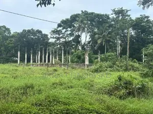 15 Perch River Front Land in Raddolugama
