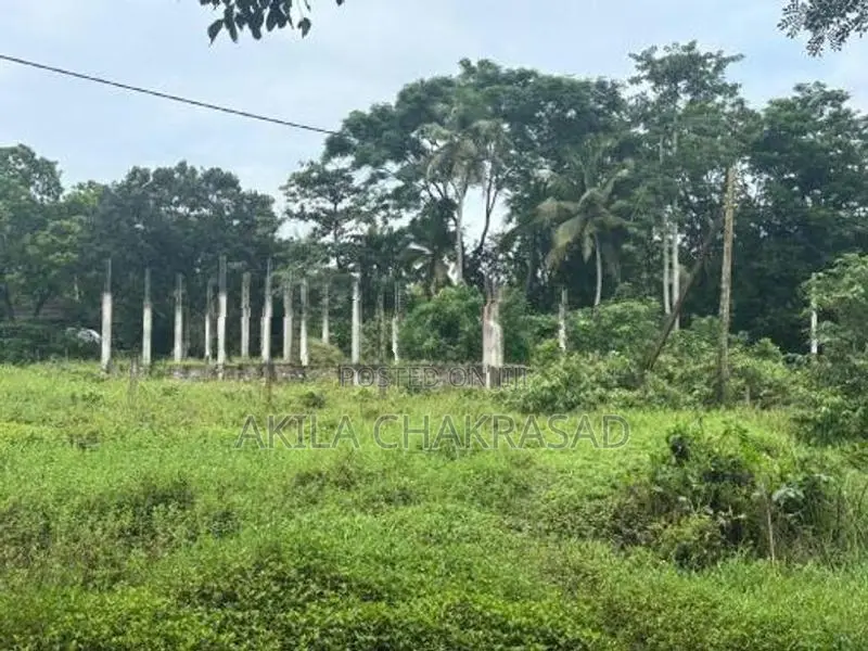 15 Perch River Front Land in Raddolugama