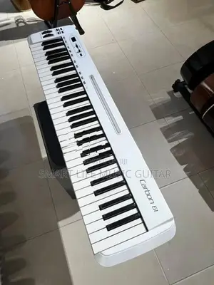 Samsons Carbon 61 Midi Keyboard