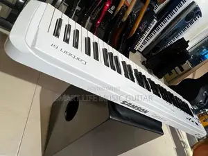 Samsons Carbon 61 Midi Keyboard