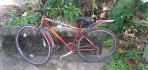Japan Bicycle