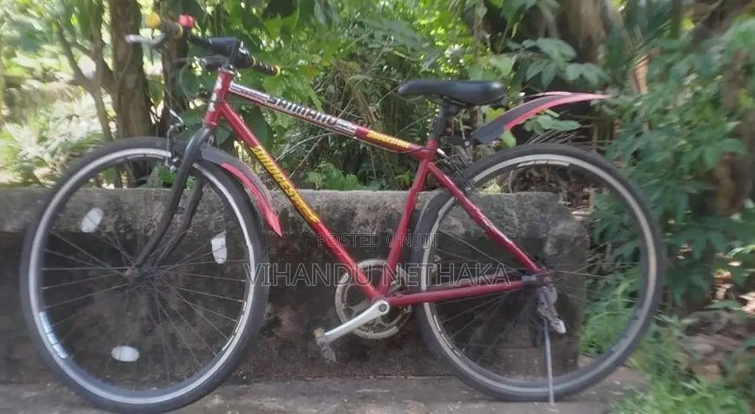 Bicycle