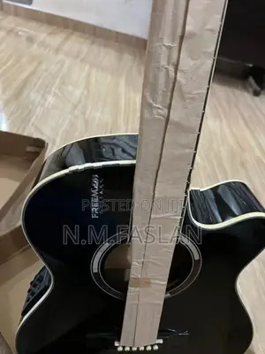 Freeman Acoustic Guitar