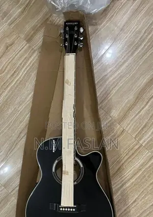 Freeman Acoustic Guitar