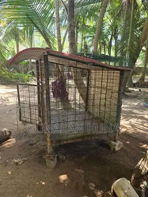 Dog Cage
