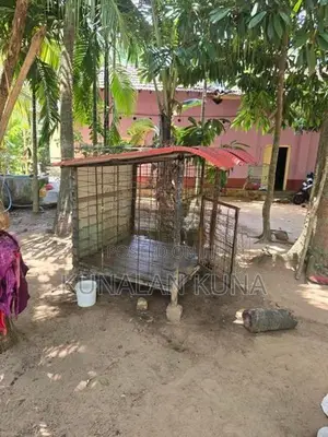 Dog Cage