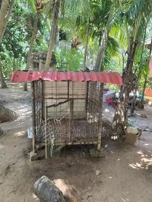 Dog Cage