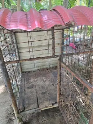 Dog Cage