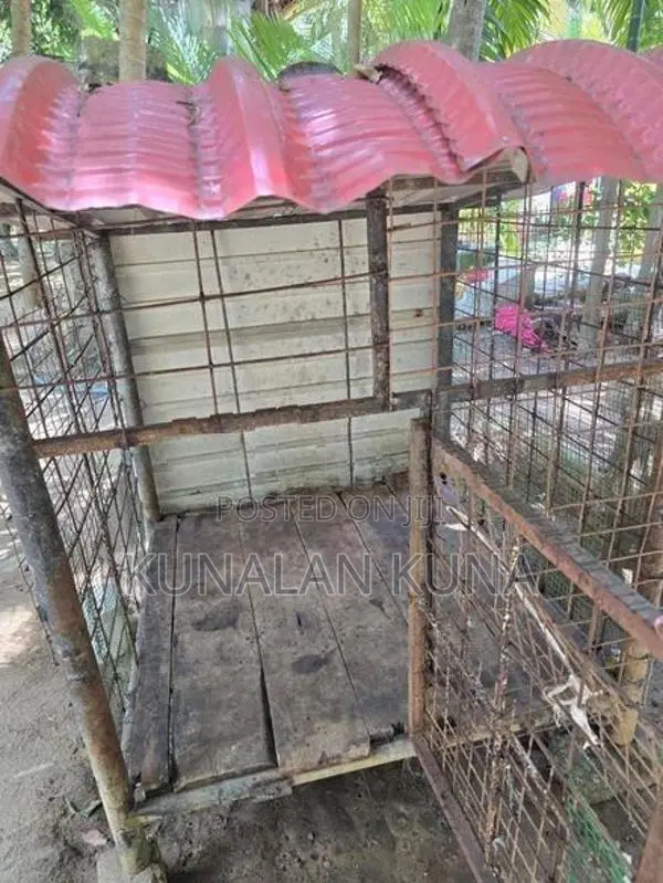 Dog Cage
