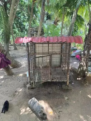 Dog Cage