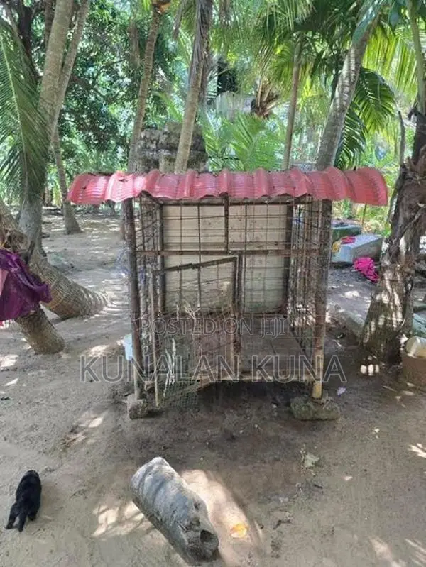Dog Cage