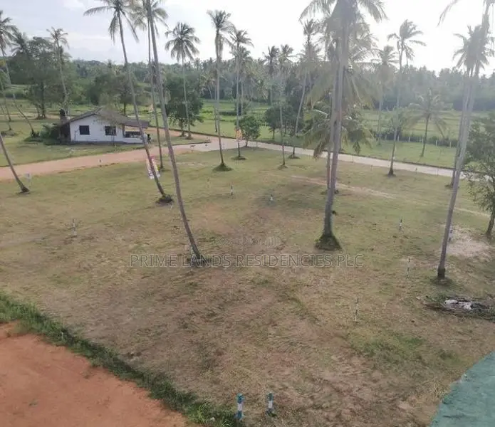 වාරියපොළ නගරයෙන්ම සින්නක්කර බිම්කොටස් විකිණීමට