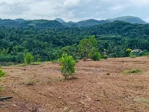 Residential Land for Sale in Avissawella
