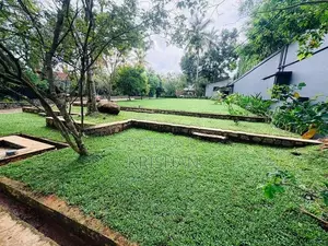 Malaysian Grass