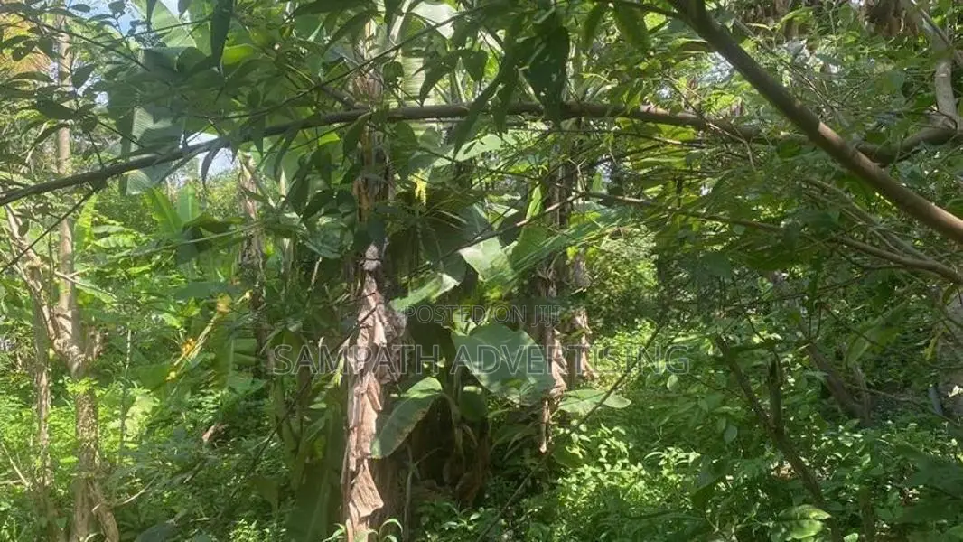 Land for sale in Colombo