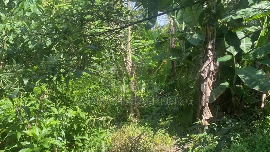 Land for sale in Colombo