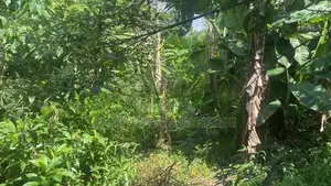 Land for sale in Colombo