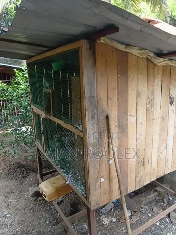 Pigeons Cage