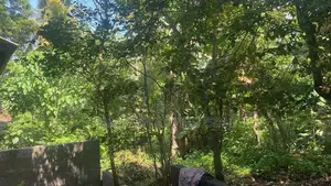 Land for sale in Colombo