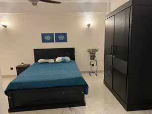 Newly Renovated Fully Furnished Apartment for Rent Colombo 7