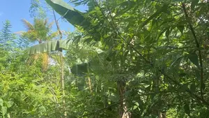 Land for sale in Colombo