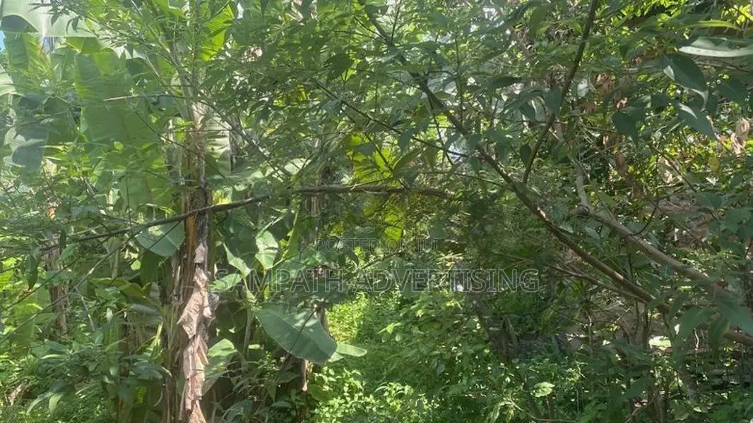 Land for sale in Colombo