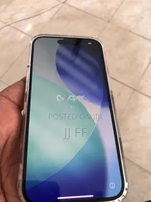 Apple iPhone 15 Display