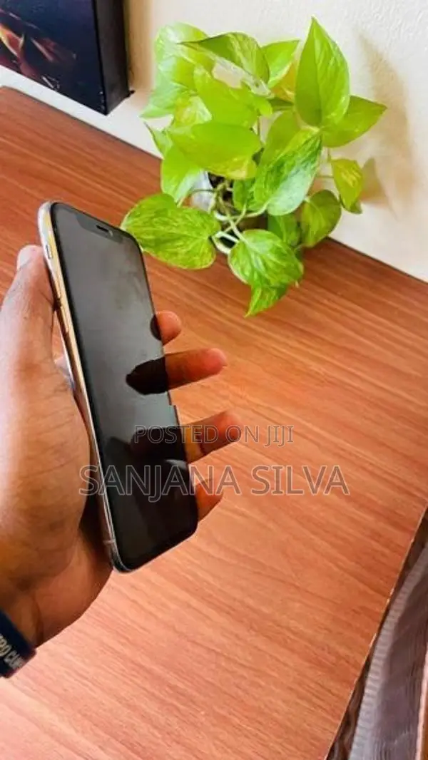 Apple iPhone X (Used)