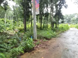Lands for sale in Nelumdeniya_Warakapola