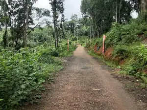 Lands for sale in Nelumdeniya_Warakapola