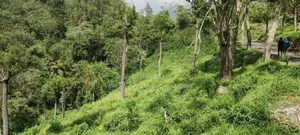හපුතලේ නගරයෙන් ඉඩමක් විකිණීමට