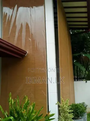 පැහැසර බට පැළලි