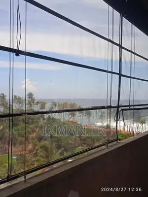 පැහැසර බට පැළලි